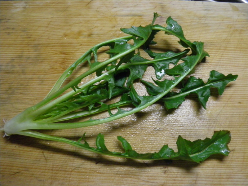 f:id:himegozenn:20120404144711j:image:w360 f:id:himegozenn:20120404144711j:image:w360