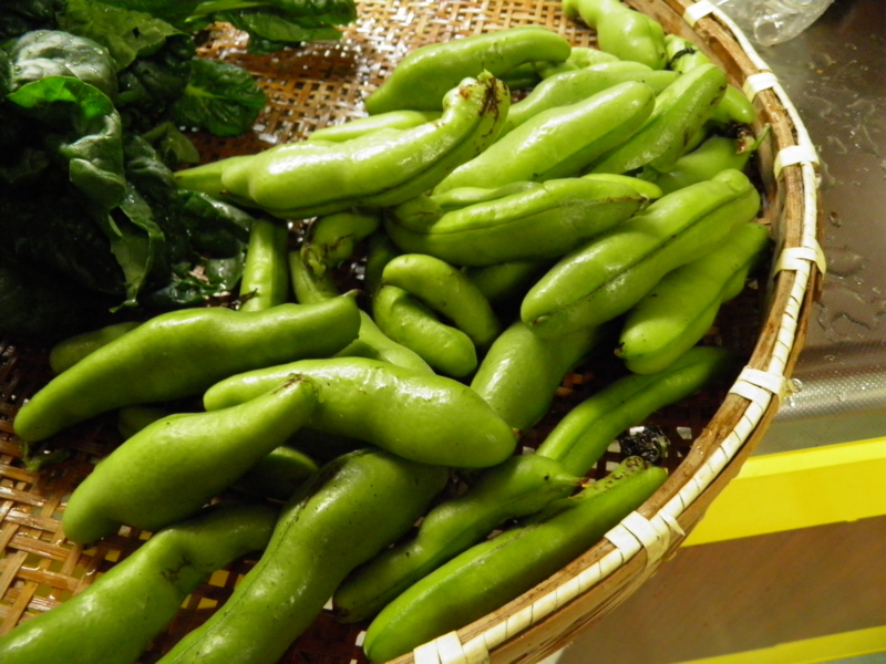 20120603112402