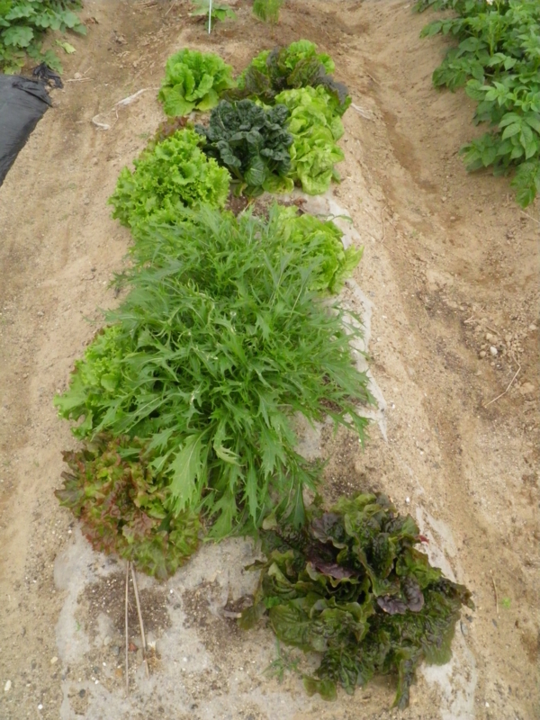 20120605122700