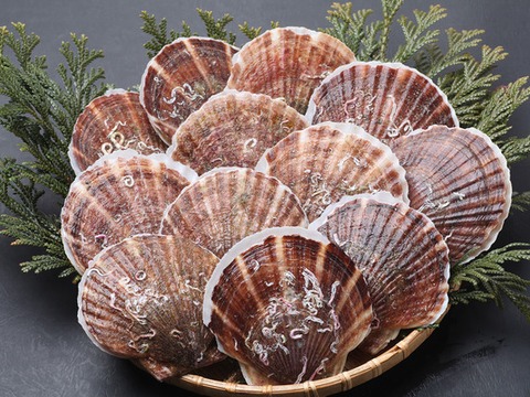 f:id:himegumatan:20200505170539j:plain f:id:himegumatan:20200505170539j:plain