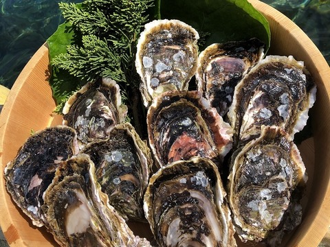 f:id:himegumatan:20200505170802j:plain f:id:himegumatan:20200505170802j:plain