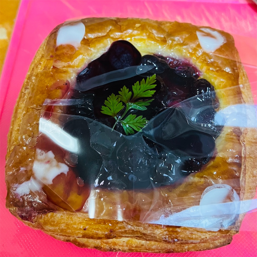 f:id:himehanahua:20240621001637j:image