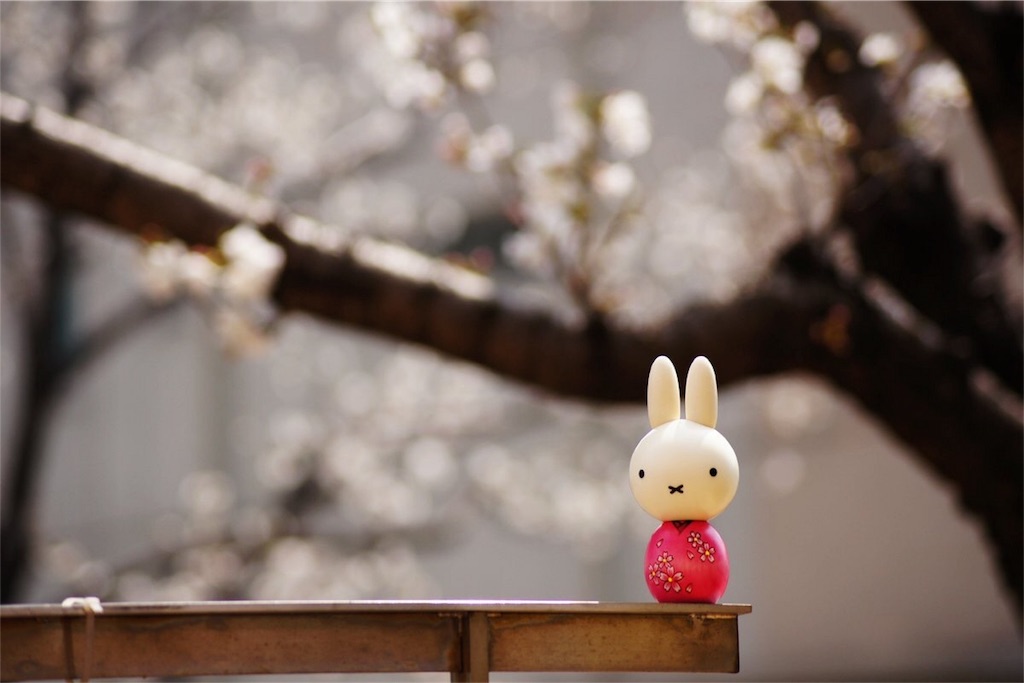 f:id:himejinousagi:20180215172445j:image f:id:himejinousagi:20180215172445j:image