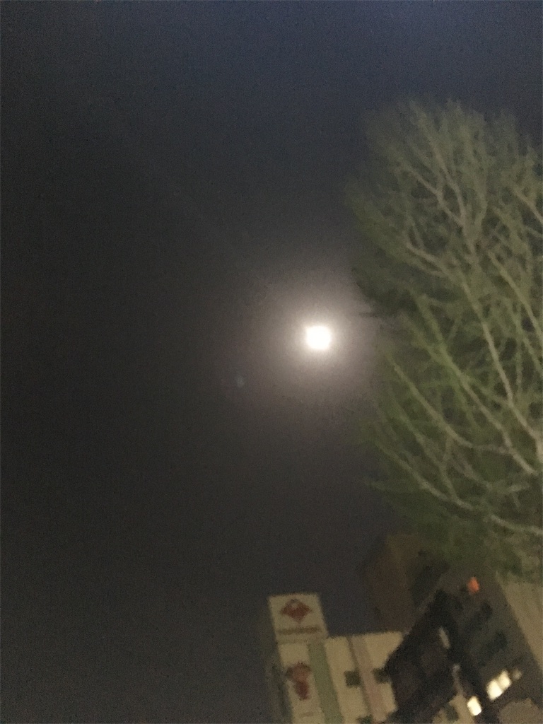 f:id:himejinousagi:20180401001145j:image