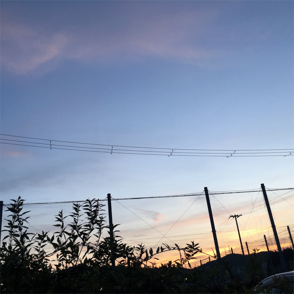 f:id:himejinousagi:20180521162210j:image f:id:himejinousagi:20180521162210j:image