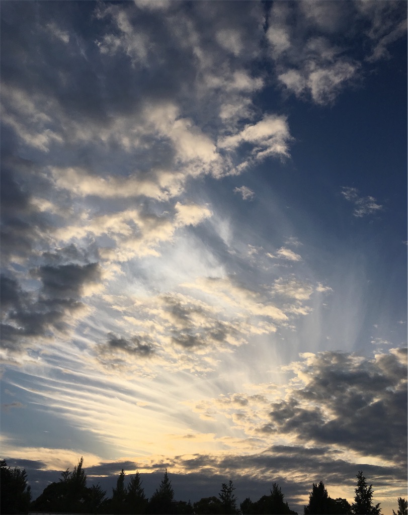 f:id:himejinousagi:20180525080627j:image f:id:himejinousagi:20180525080627j:image