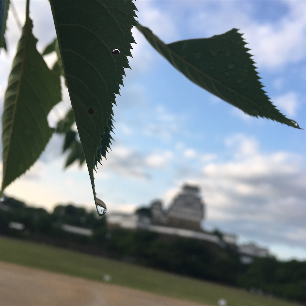 f:id:himejinousagi:20180530201020j:image