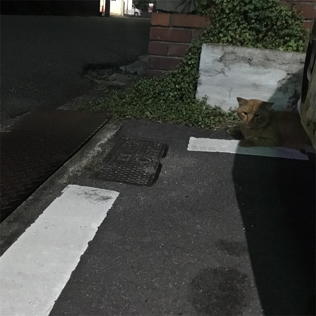 f:id:himejinousagi:20180715232224j:image