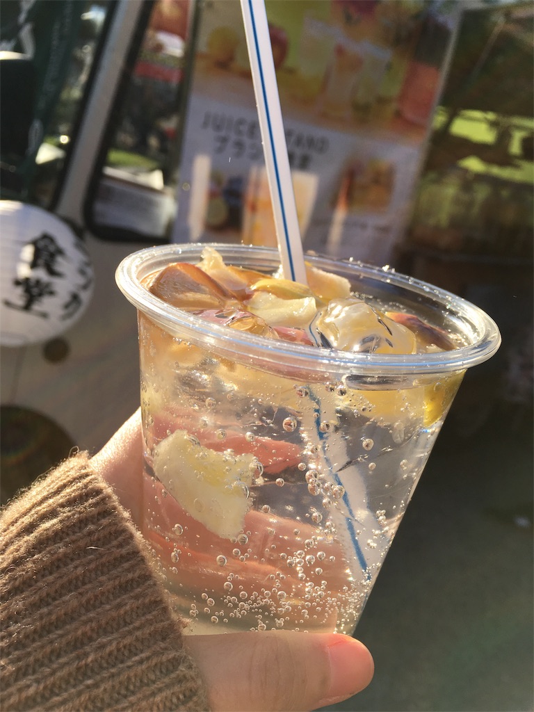 f:id:himejinousagi:20181028201441j:image f:id:himejinousagi:20181028201441j:image