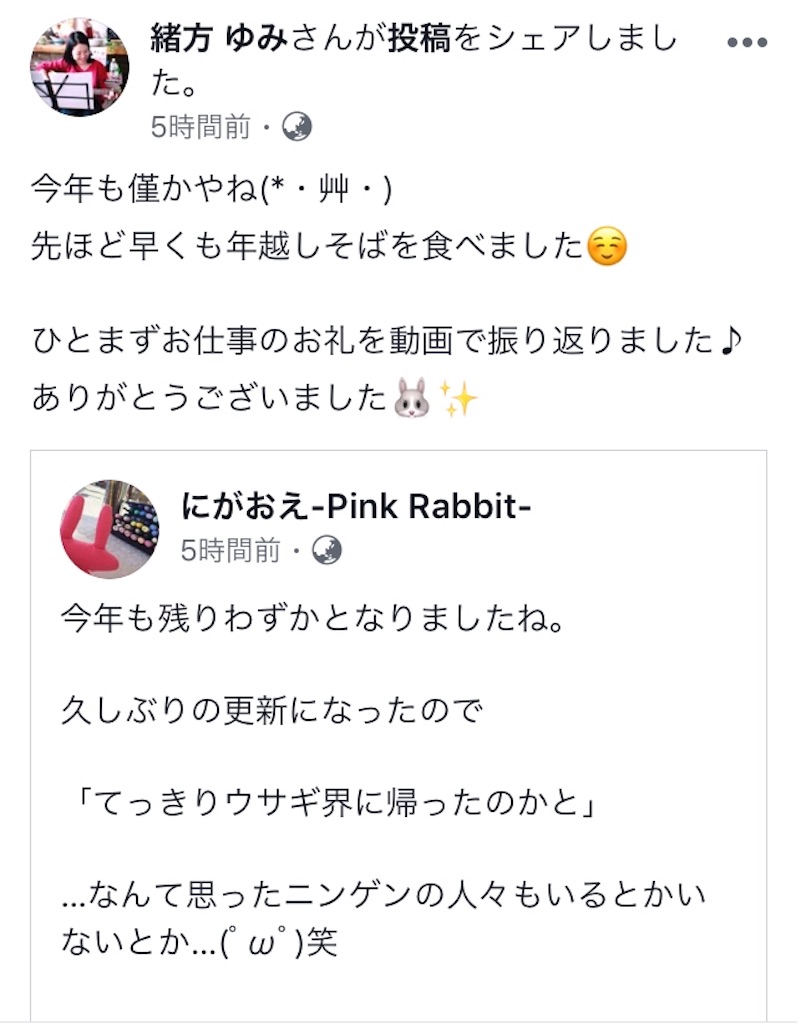 f:id:himejinousagi:20181229211200j:image
