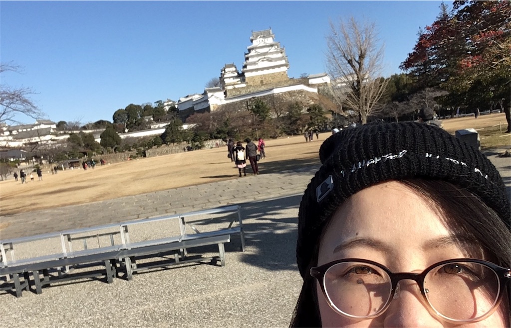 f:id:himejinousagi:20190101095010j:image