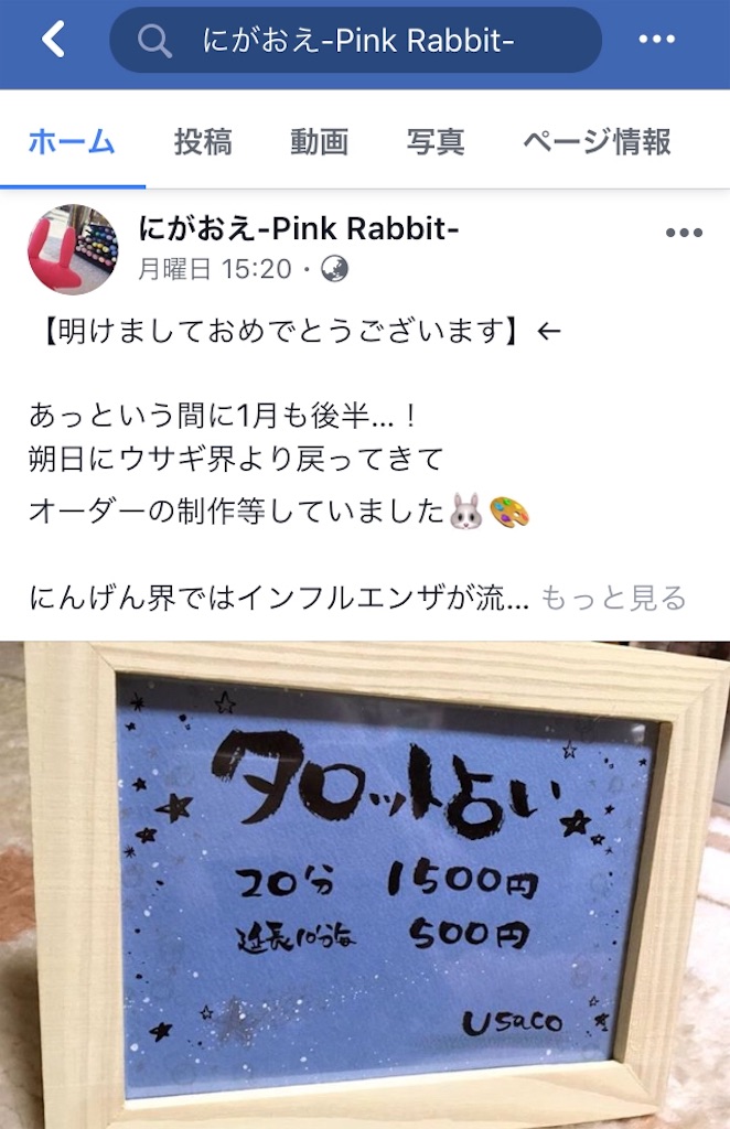 f:id:himejinousagi:20190125153155j:image