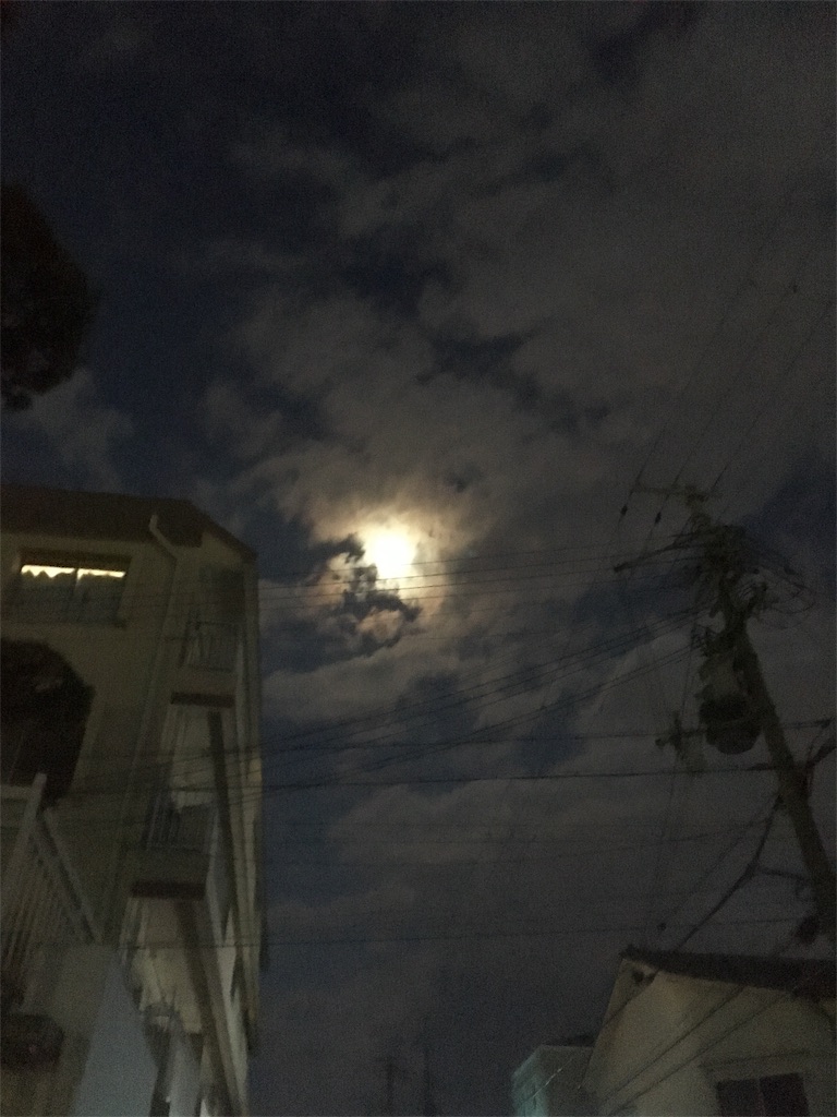 f:id:himejinousagi:20190217182341j:image