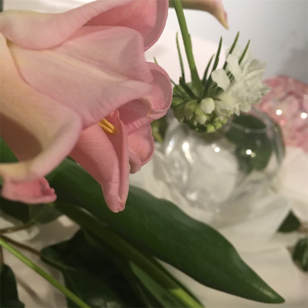 f:id:himejinousagi:20190302080451j:image