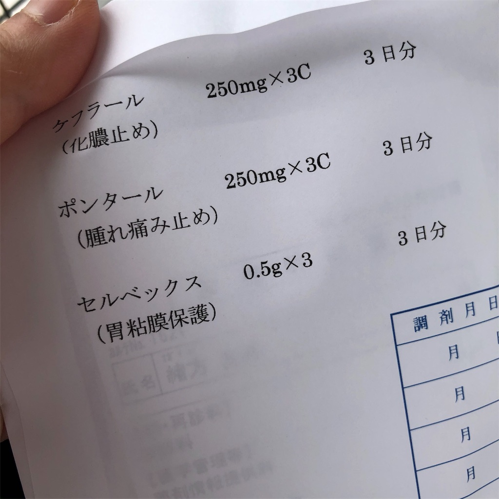 f:id:himejinousagi:20191002111245j:image