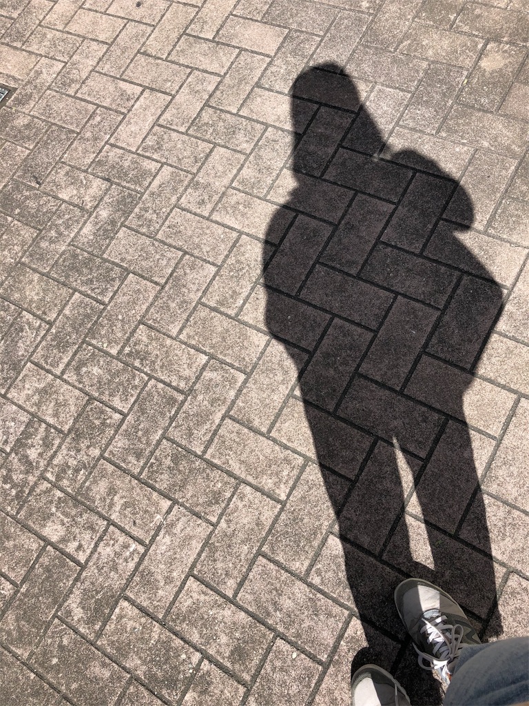 f:id:himejinousagi:20191009110343j:image
