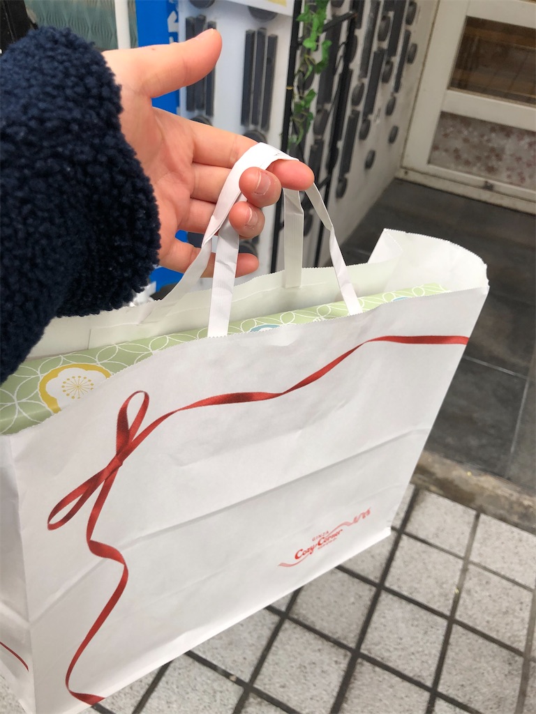 f:id:himejinousagi:20191229190102j:image
