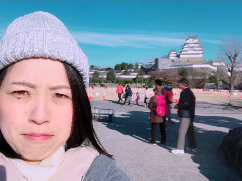 f:id:himejinousagi:20200101134942j:image