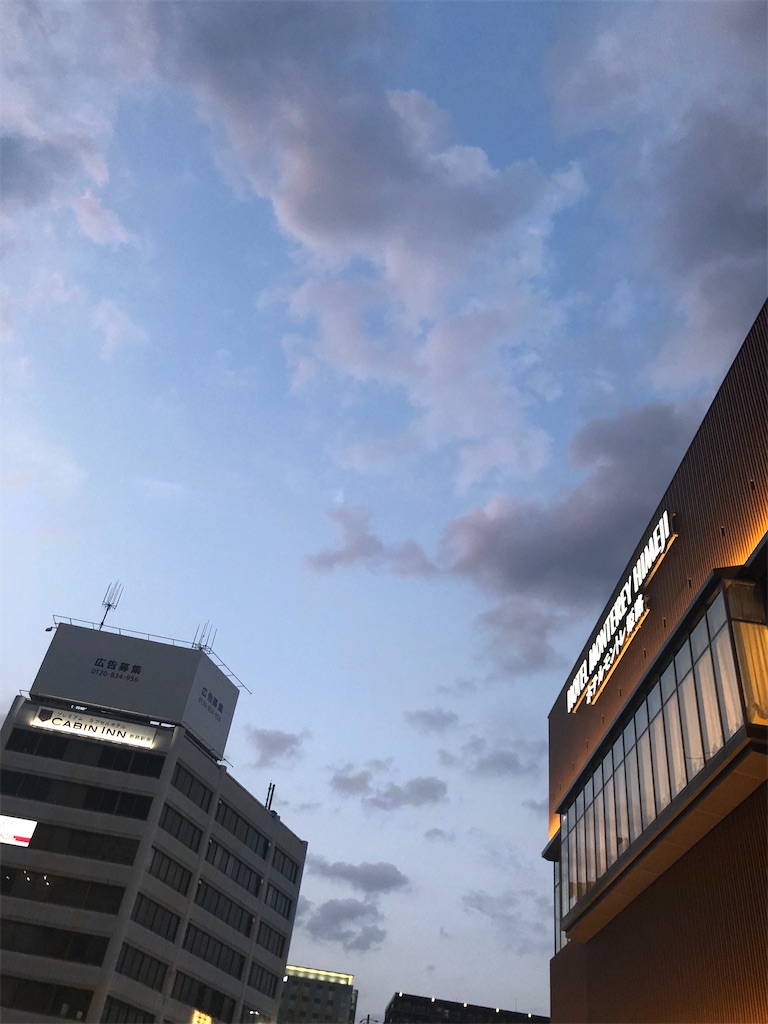 f:id:himejinousagi:20200830185912j:image