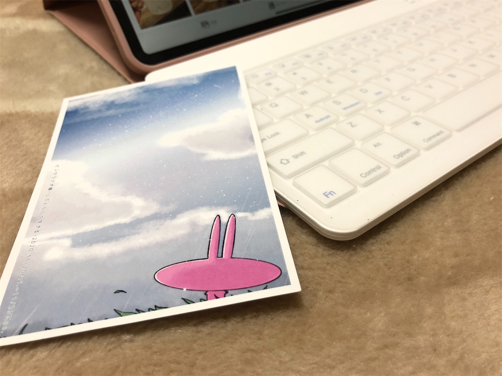 f:id:himejinousagi:20201024232105j:image