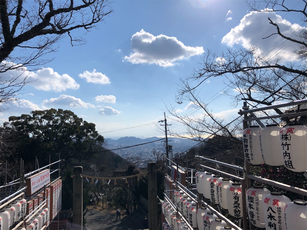 f:id:himejinousagi:20210102220548j:image