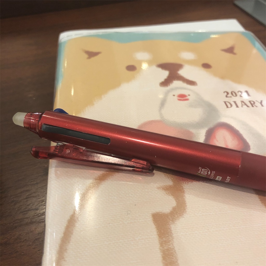 f:id:himejinousagi:20210611165217j:plain