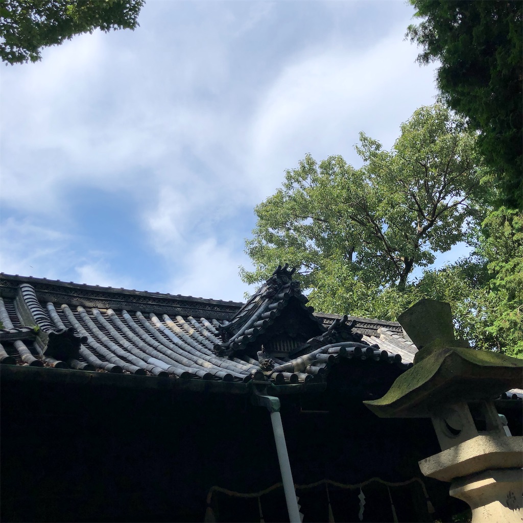 f:id:himejinousagi:20210801150510j:plain