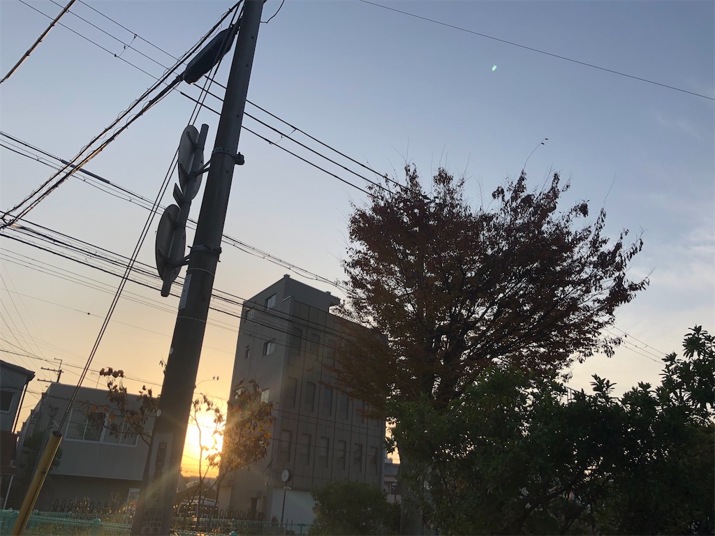 f:id:himejinousagi:20211121115352j:plain