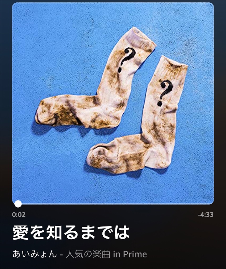 f:id:himejinousagi:20211229102045j:plain