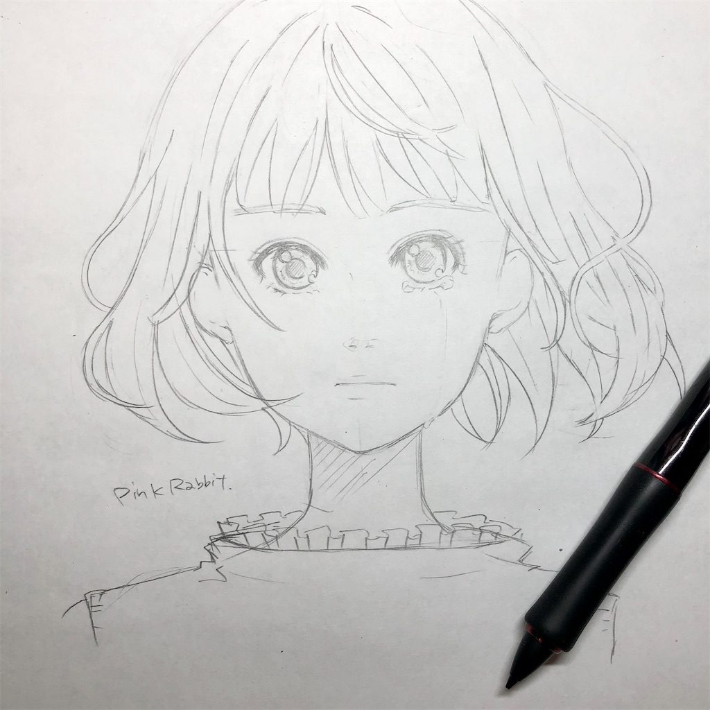 f:id:himejinousagi:20220122075732j:plain