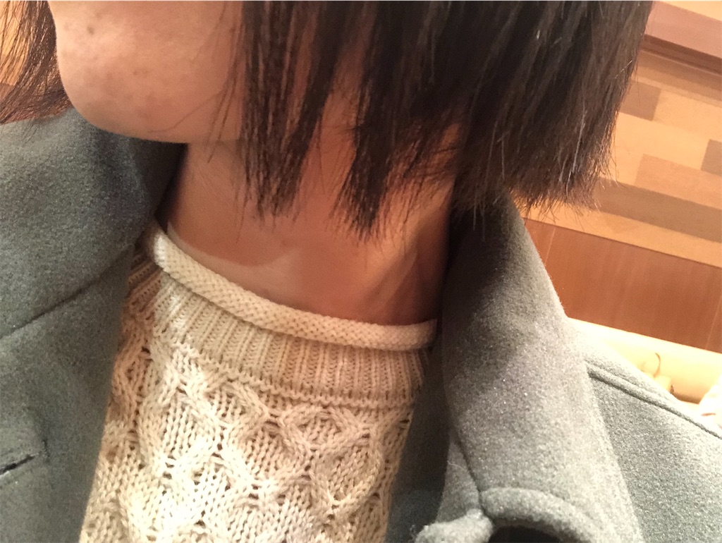 f:id:himejinousagi:20220122193345j:plain