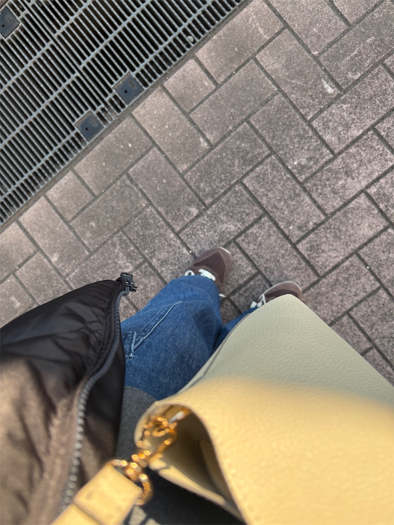 f:id:himejinousagi:20260221174003j:image