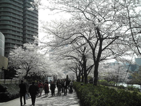 f:id:himekagura:20060401151746j:image