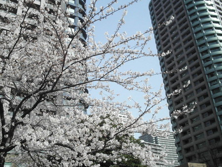 f:id:himekagura:20060401151836j:image