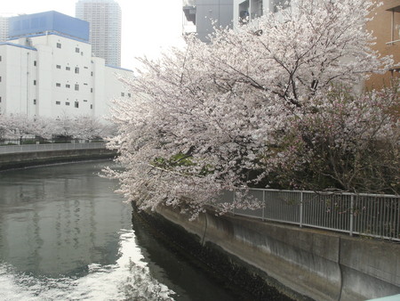 f:id:himekagura:20060404153356j:image