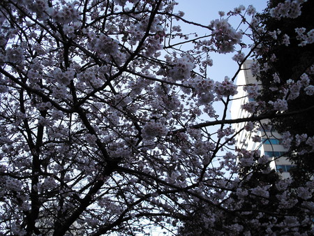 f:id:himekagura:20070224160950j:image f:id:himekagura:20070224160950j:image