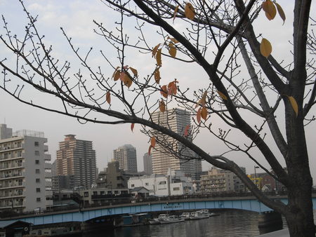 f:id:himekagura:20071201161052j:image