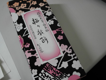 f:id:himekagura:20090219161744j:image