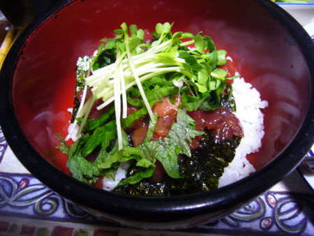 f:id:himekagura:20090331192314j:image f:id:himekagura:20090331192314j:image