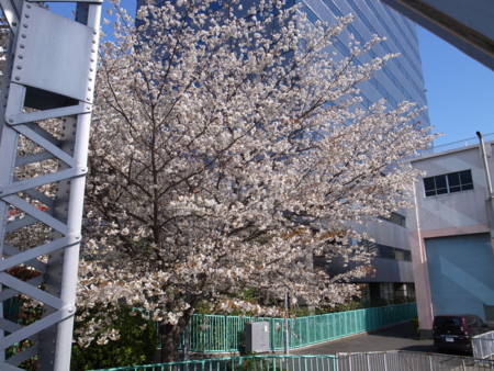f:id:himekagura:20100330144833j:image