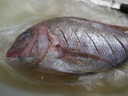 f:id:himekagura:20110607183439j:image