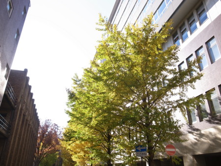 f:id:himekagura:20111205094141j:image f:id:himekagura:20111205094141j:image
