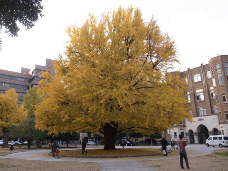 f:id:himekagura:20111207154542j:image