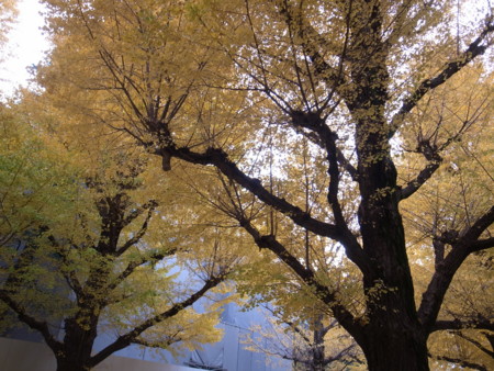 f:id:himekagura:20111207154832j:image