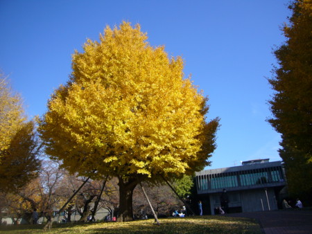 f:id:himekagura:20111210133141j:image f:id:himekagura:20111210133141j:image