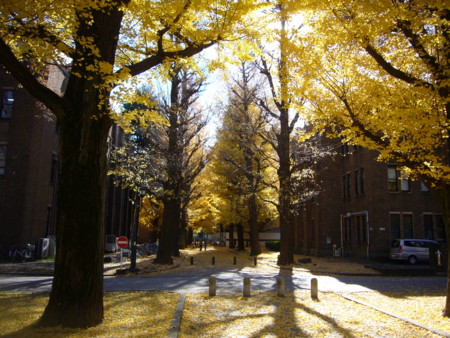 f:id:himekagura:20111213115213j:image