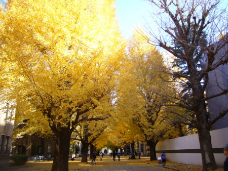 f:id:himekagura:20111213115434j:image