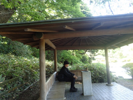 f:id:himekagura:20160429131105j:image f:id:himekagura:20160429131105j:image
