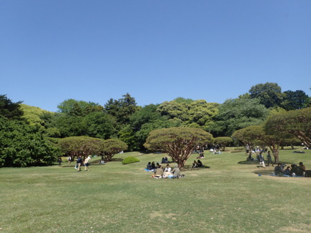 f:id:himekagura:20160429132143j:image f:id:himekagura:20160429132143j:image