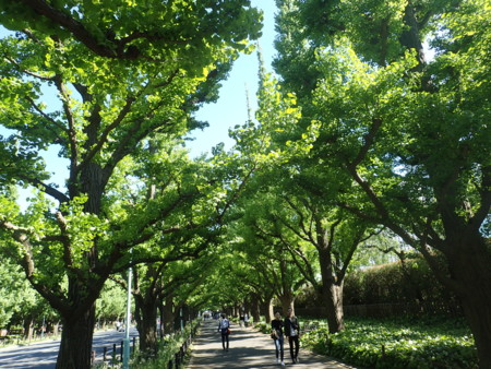 f:id:himekagura:20160429150344j:image f:id:himekagura:20160429150344j:image